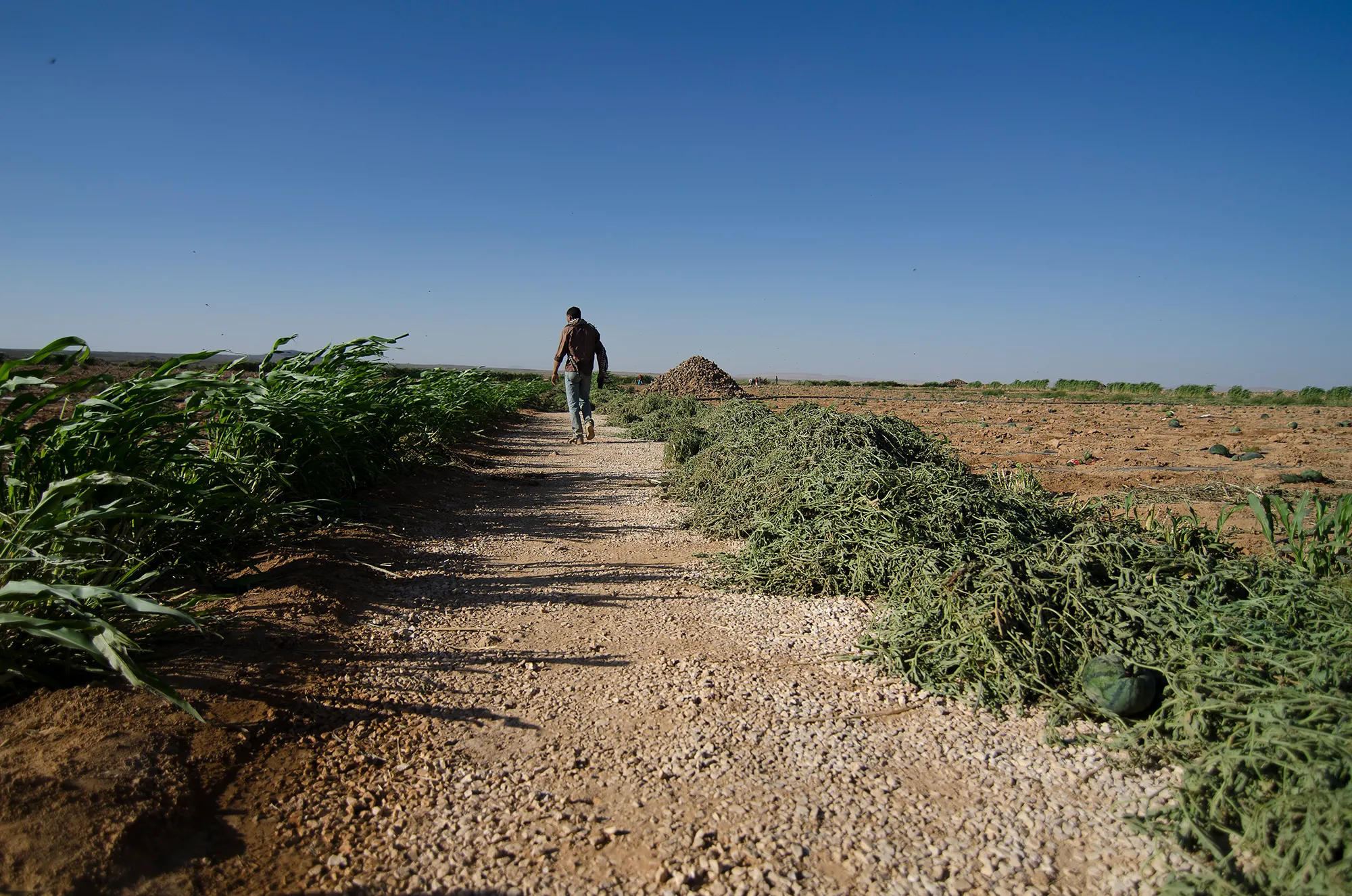 Syrian beduin refugees/ DO NOT USE/ RESTRICTED