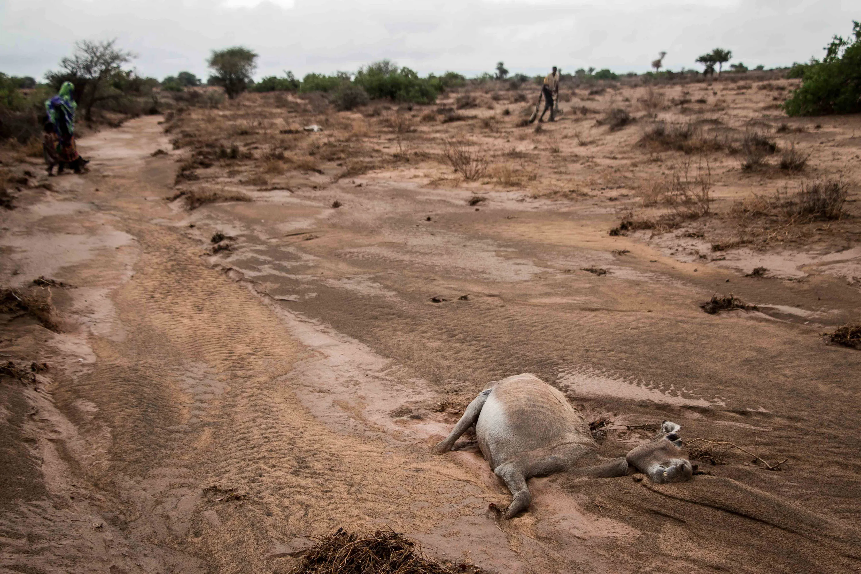 Please Do Not Use/ Somaliland