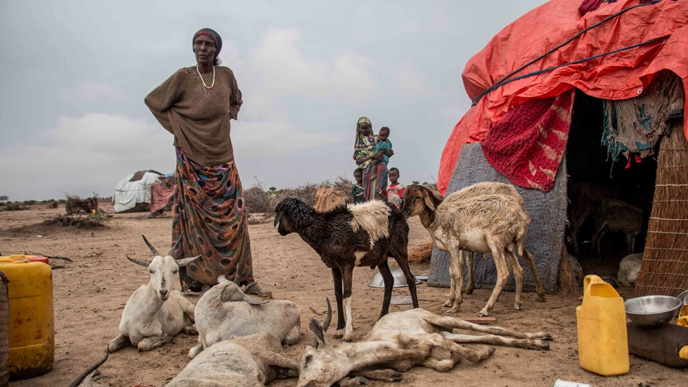 Please Do Not Use/ Somaliland [AShley Hamer/Al Jazeera]