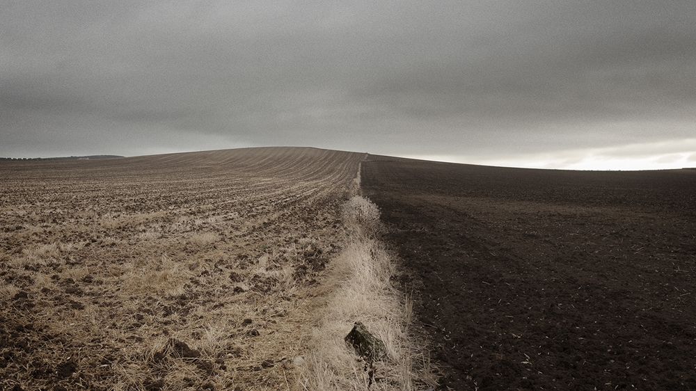 Marinaleda's 'secret' lies in the 1,200 hectares of land just outside the village [Hagar Jobse/Al Jazeera]