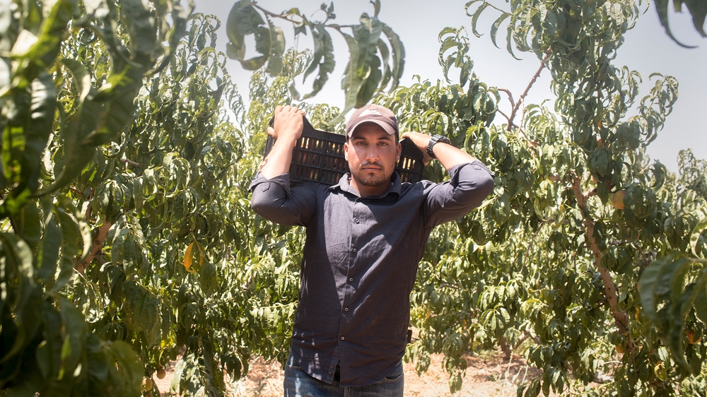 Syrian workers