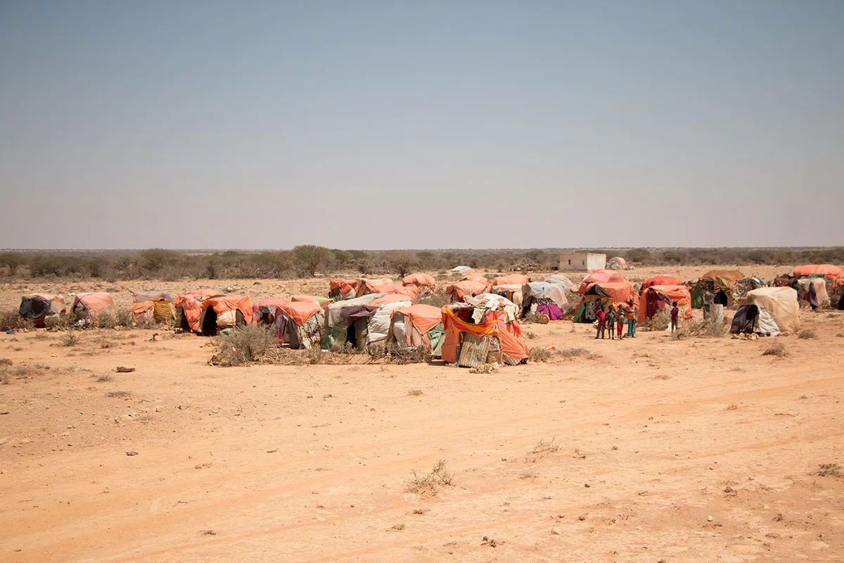 Drought strikes Puntland/ Please Do Not Use