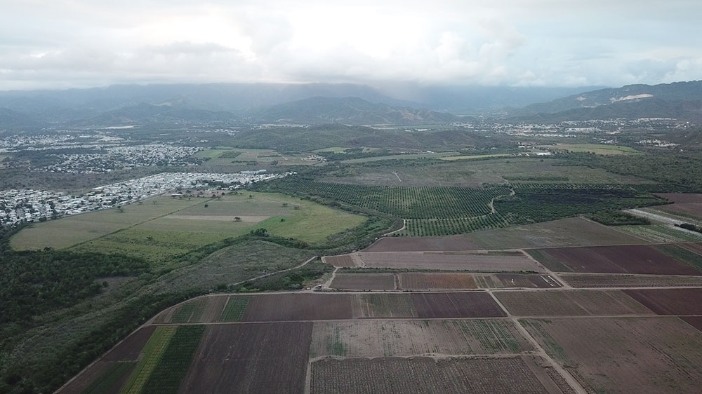 Several agrochemical companies operate in the southern municipality of Juana Díaz, which contains some of Puerto Rico’s most fertile land [AJ+ Al Jazeera]