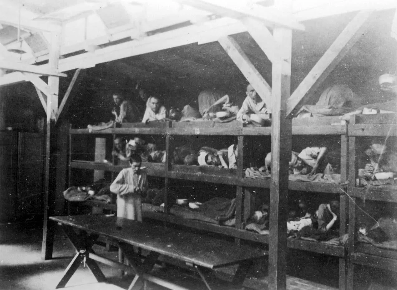 Inmates are seen lying on bunks at the Auschwitz-Birkenau death camp in Nazi-occupied Poland after its liberation in this undated handout picture, Courtesy of Yad Vashem.