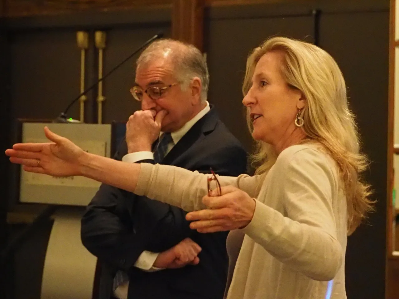 Dr Elizabeth Haase and Dr Jack Gorman consider the direction climate psychiatry should go in during a meeting of the Association for the Advancement of Psychodynamic Psychiatry in 2014 [Photo courtesy of Climate Psychiatry Alliance]