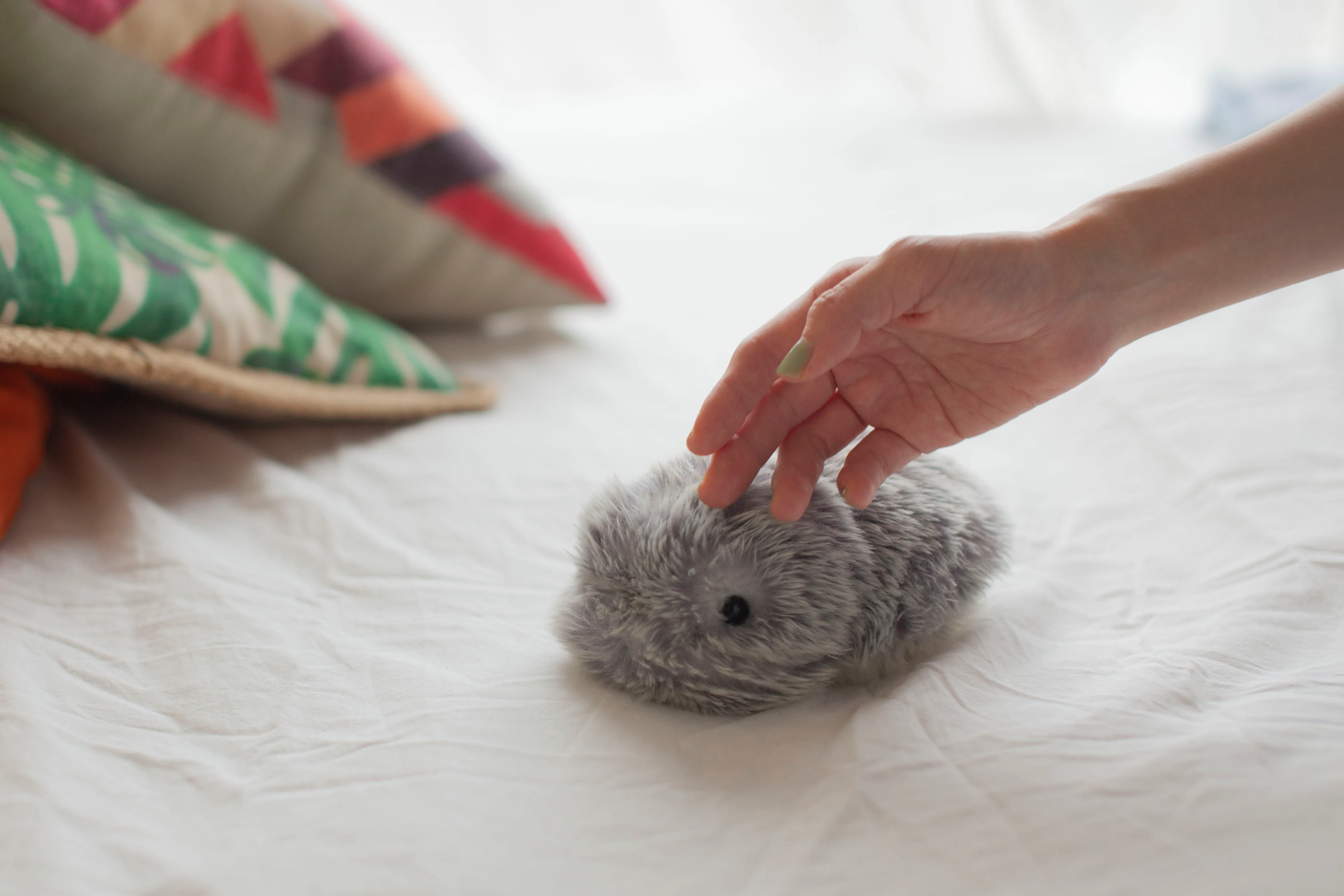 Inventors debuted a host of AI gadgets at the first-ever fully virtual Consumer Electronics Show, including the MOFLIN robotic pet [Courtesy: Vanguard Industries]