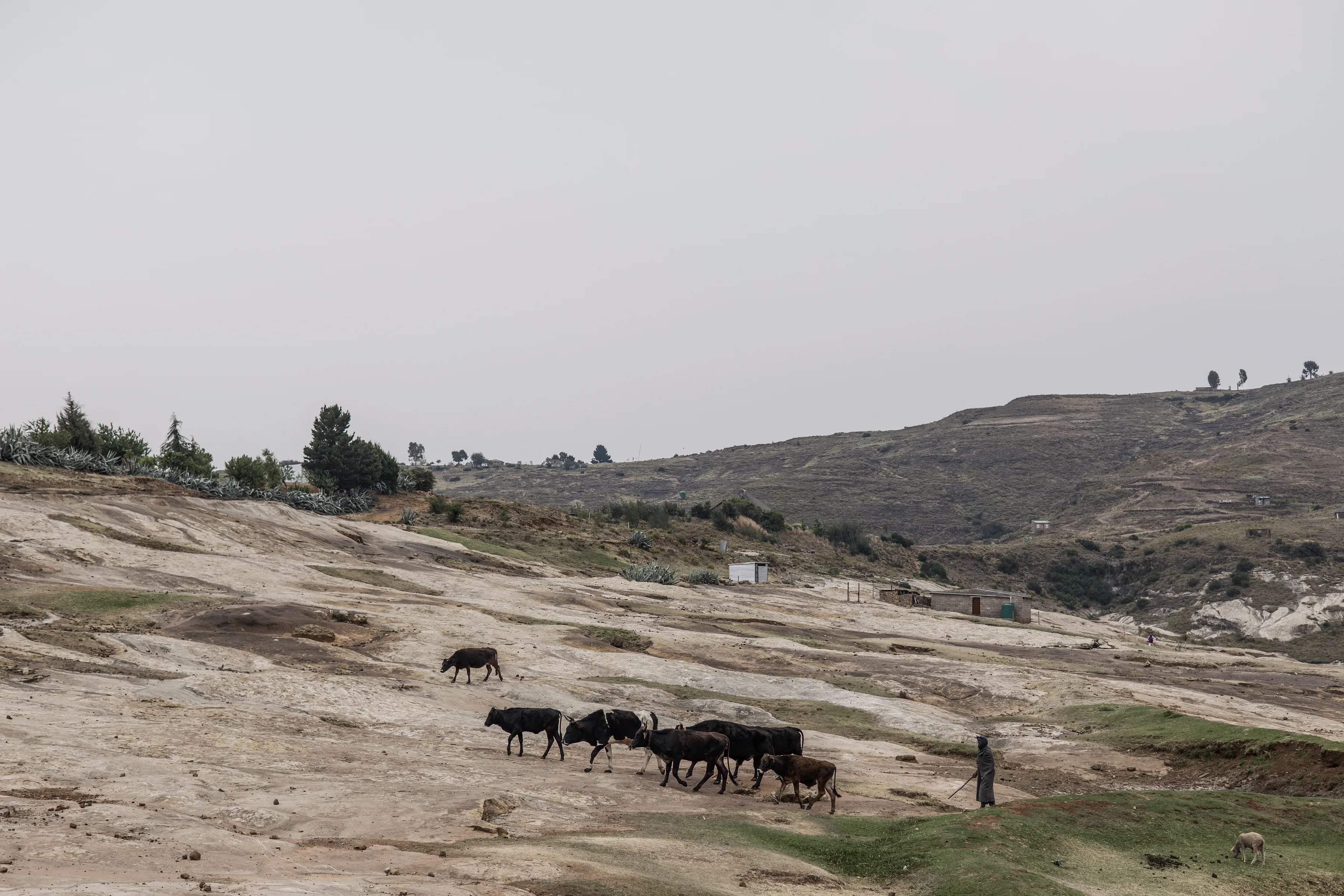 LESOTHO CULTURE